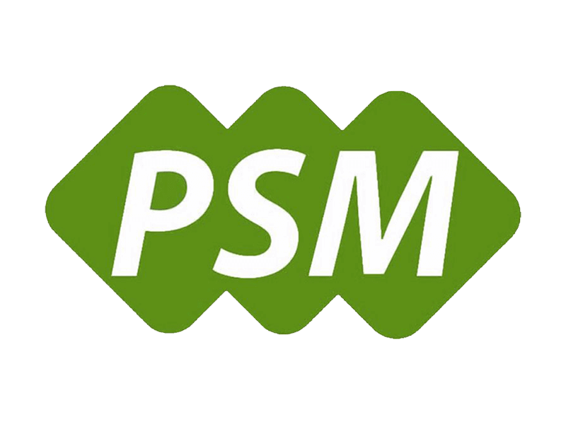 Logo Principal psm.png